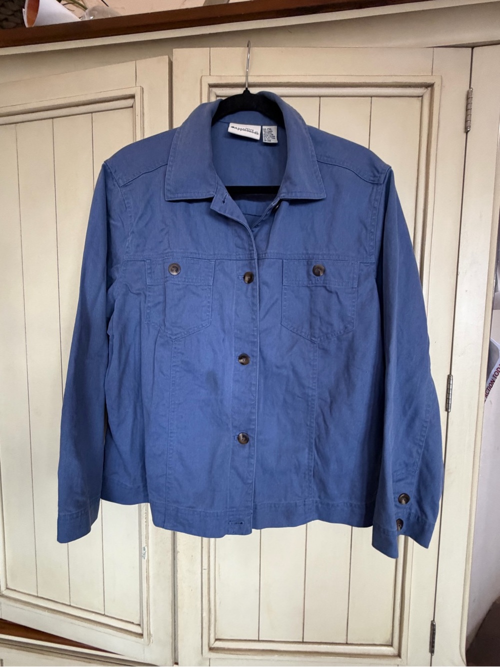 Vintage Appleseed’s Blue Button-Up Lightweight Jacket